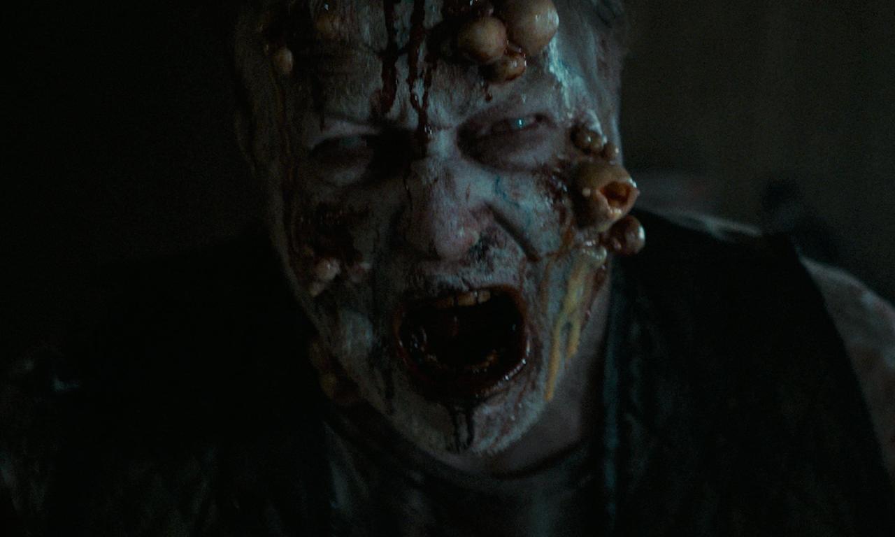 header image for Herd