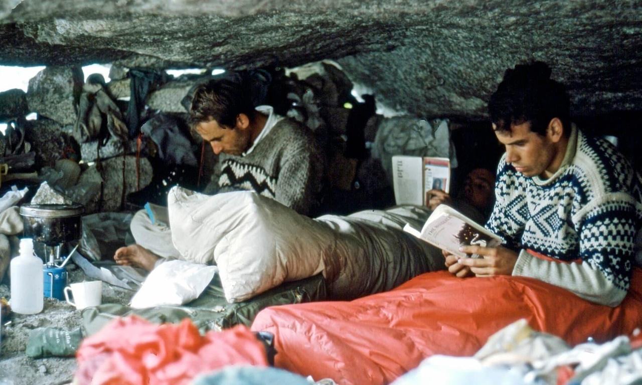 header image for Wild Life