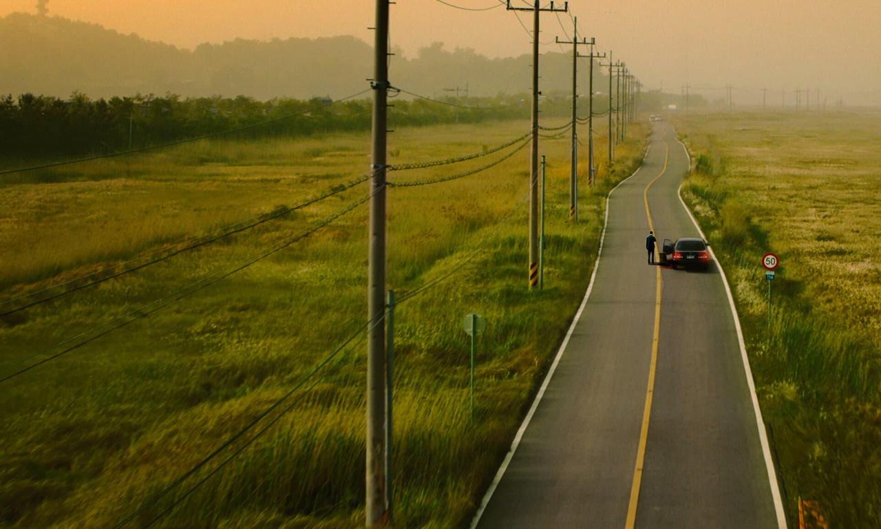 header image for A Model Family