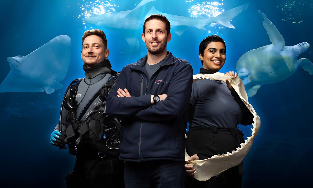 header image for Secrets of the Aquarium