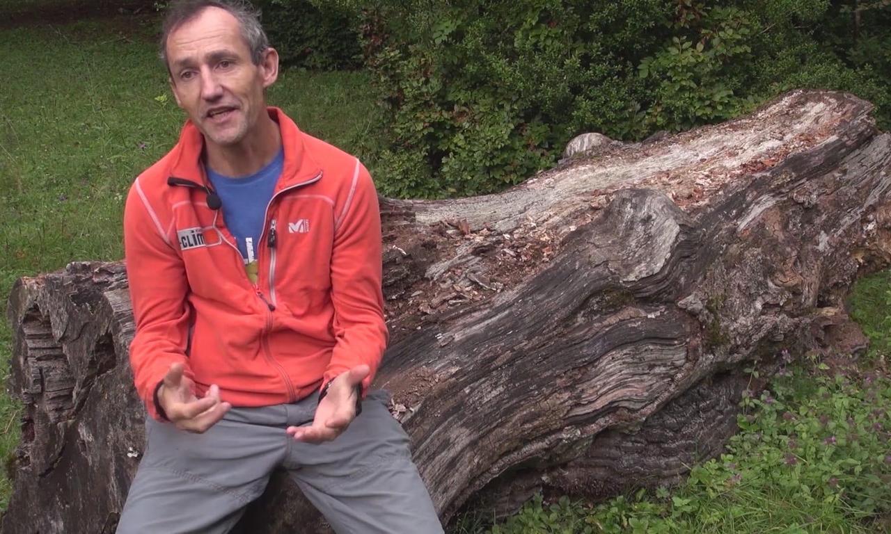 The Other End of the Rope Where to Watch and Stream Online