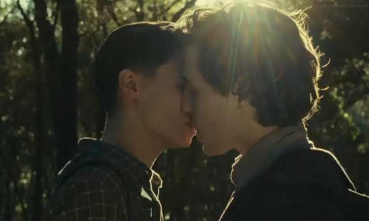 header image for Animals