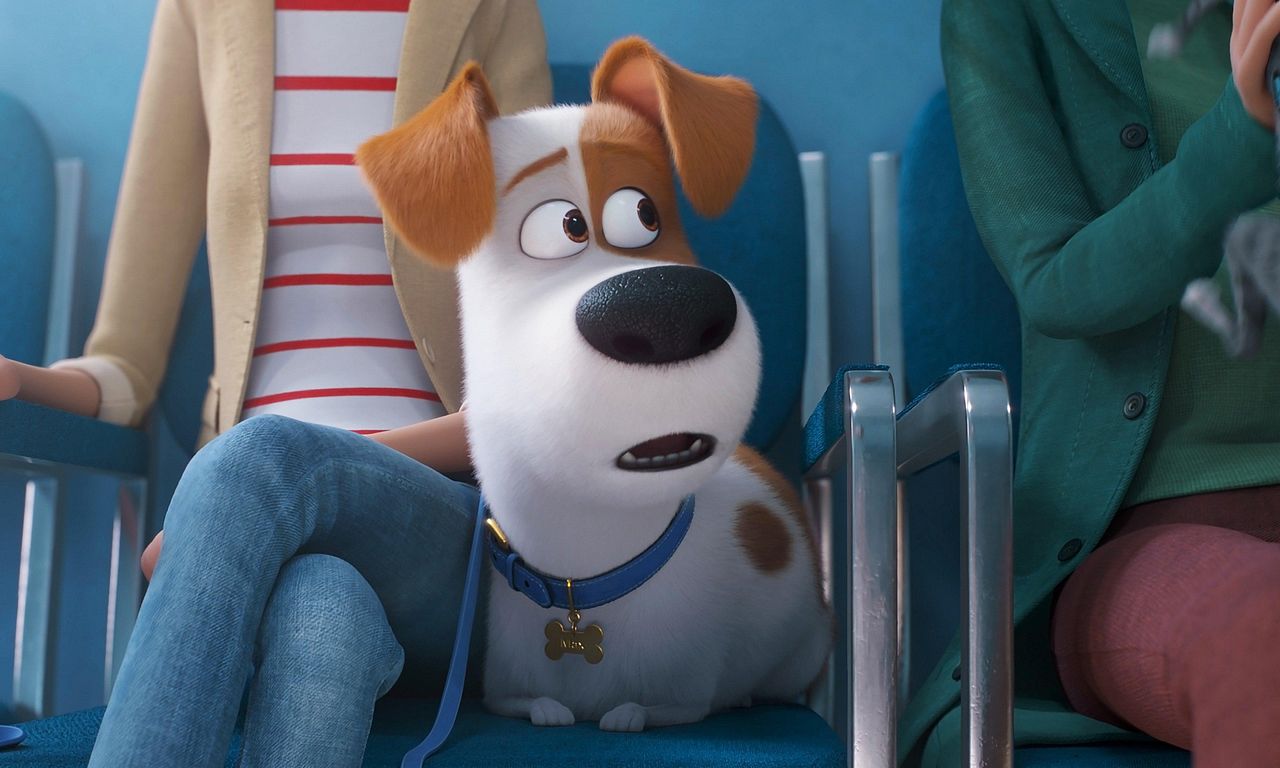 The Secret Life of Pets 2 - Where to Watch and Stream Online – The Secret Life of Pets 2 - Where to Watch and Stream Online –