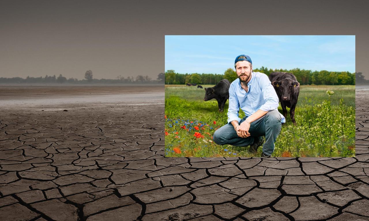 header image for Farm Rebellion