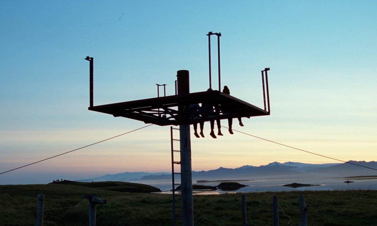 header image for Nest