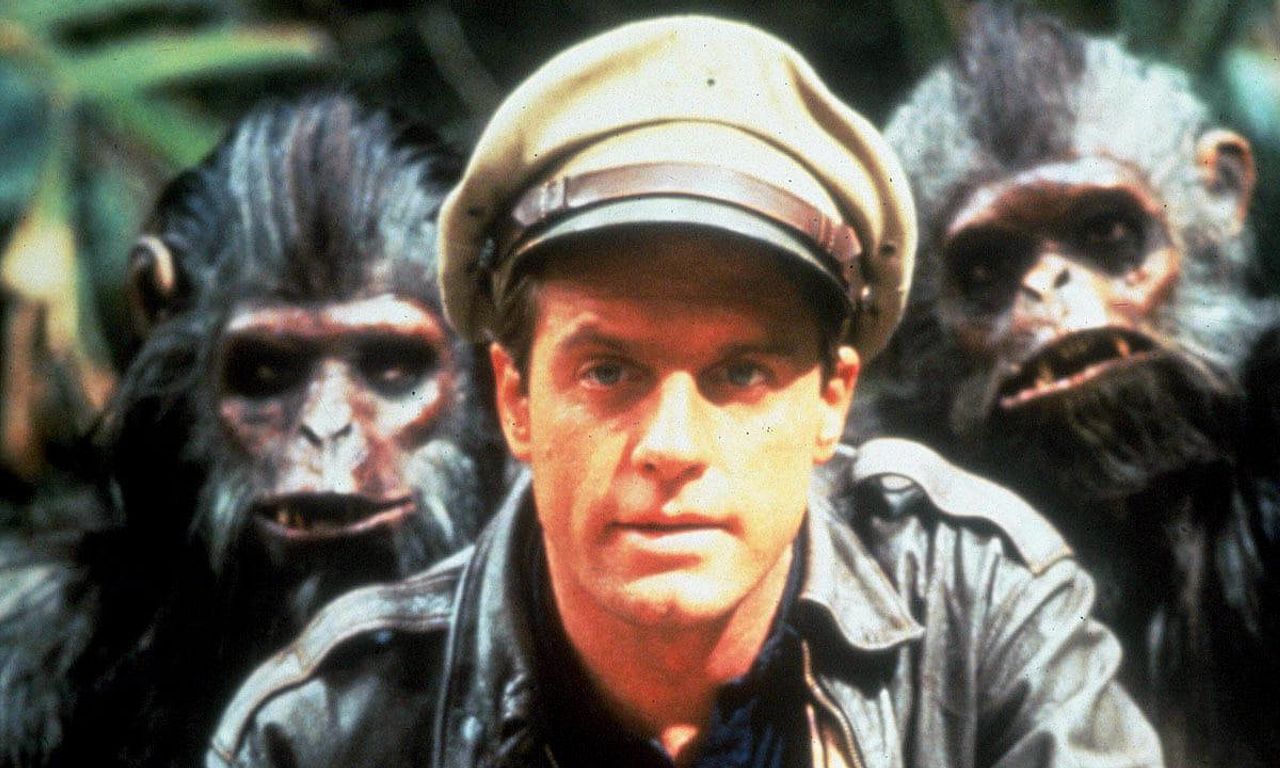 header image for Tales of the Gold Monkey