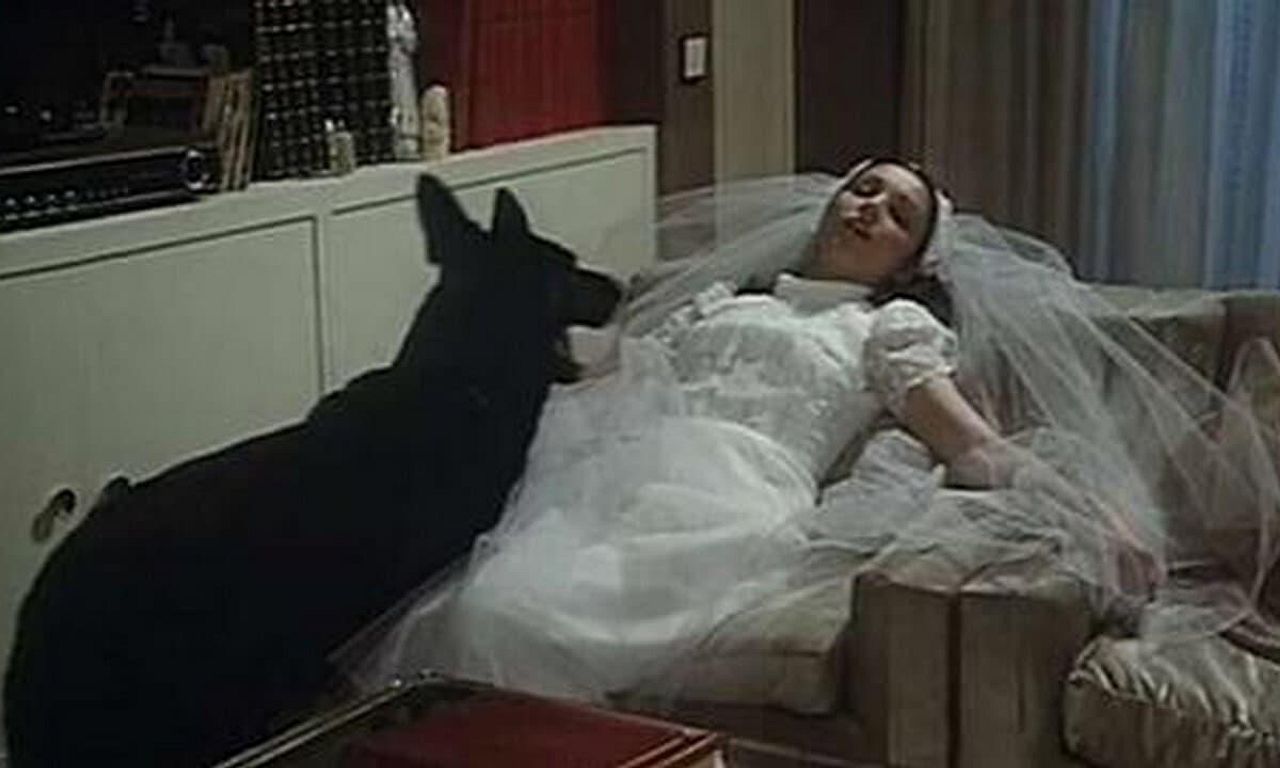 header image for The Creature