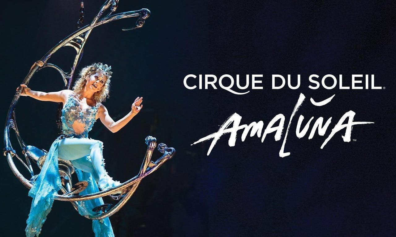 header image for Cirque du Soleil: Amaluna