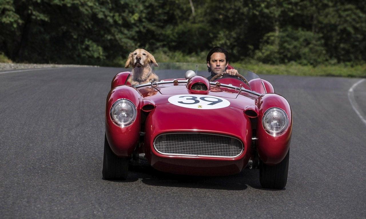 header image for The Art of Racing in the Rain