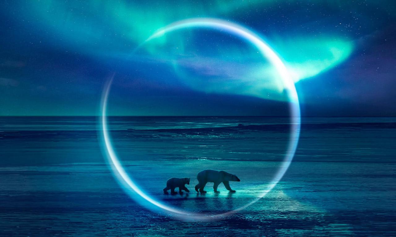 header image for Frozen Planet II