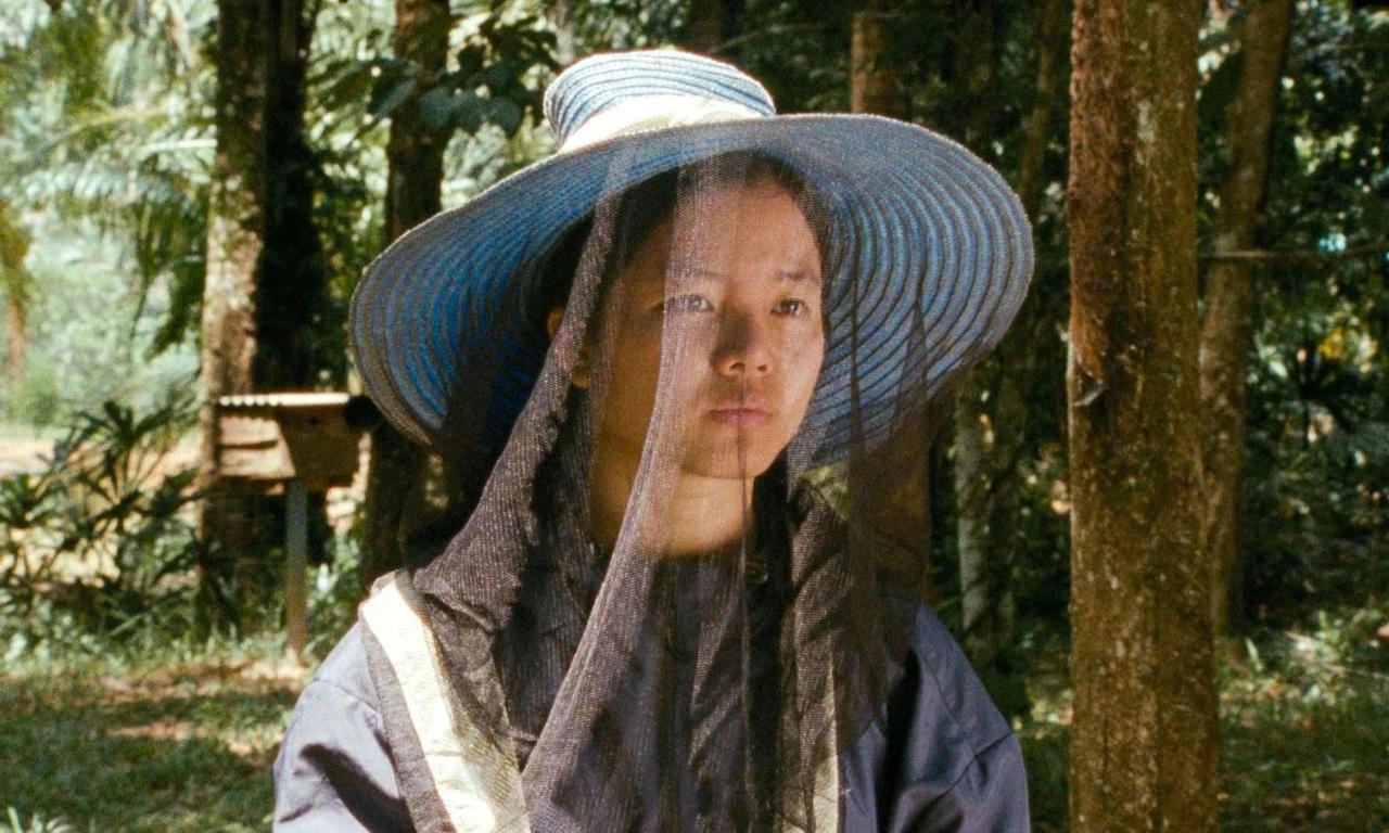 header image for Krabi, 2562