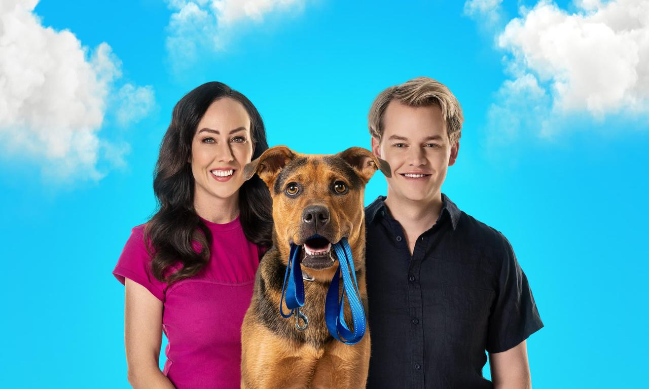 header image for New Leash on Life