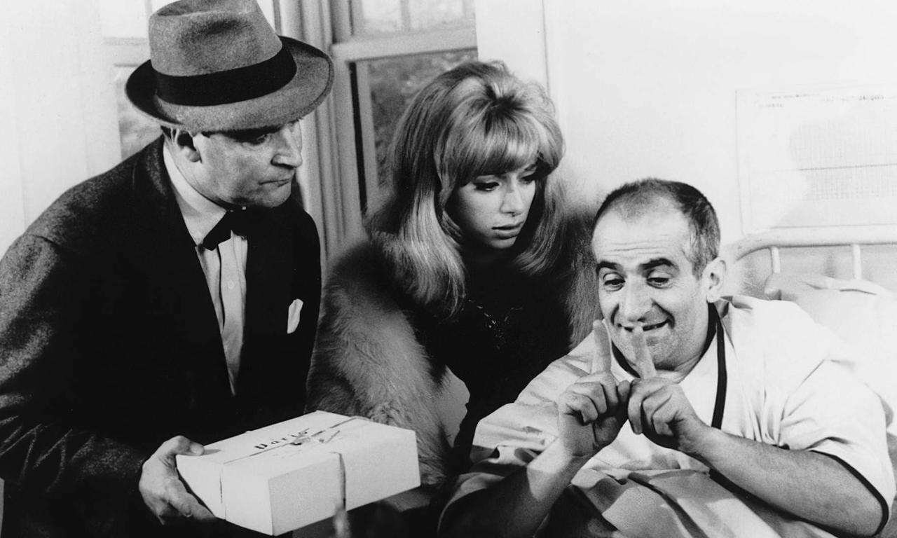 Dandelions by the Roots Where to Watch and Stream Online