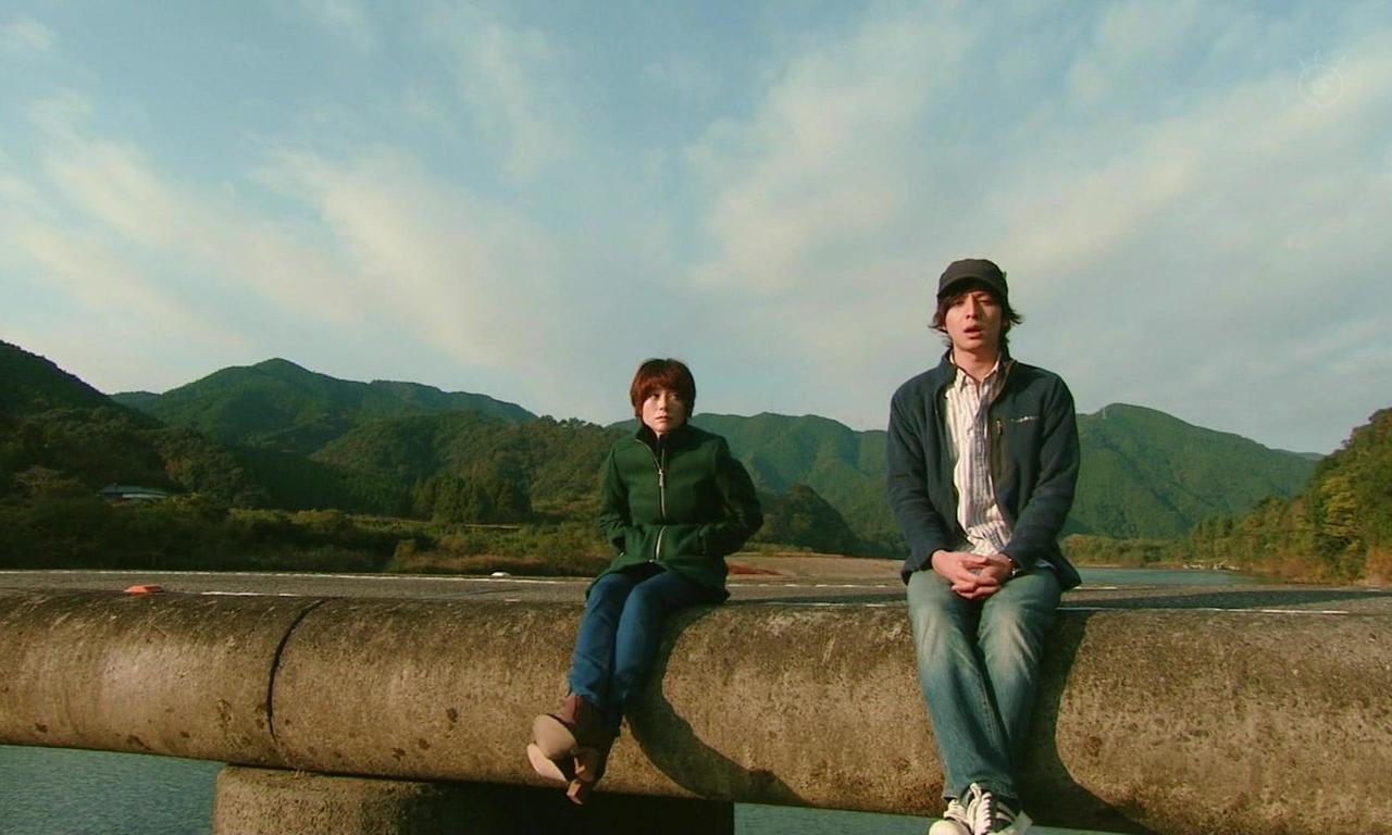 header image for Late Blooming Sunflower My Life Renewed