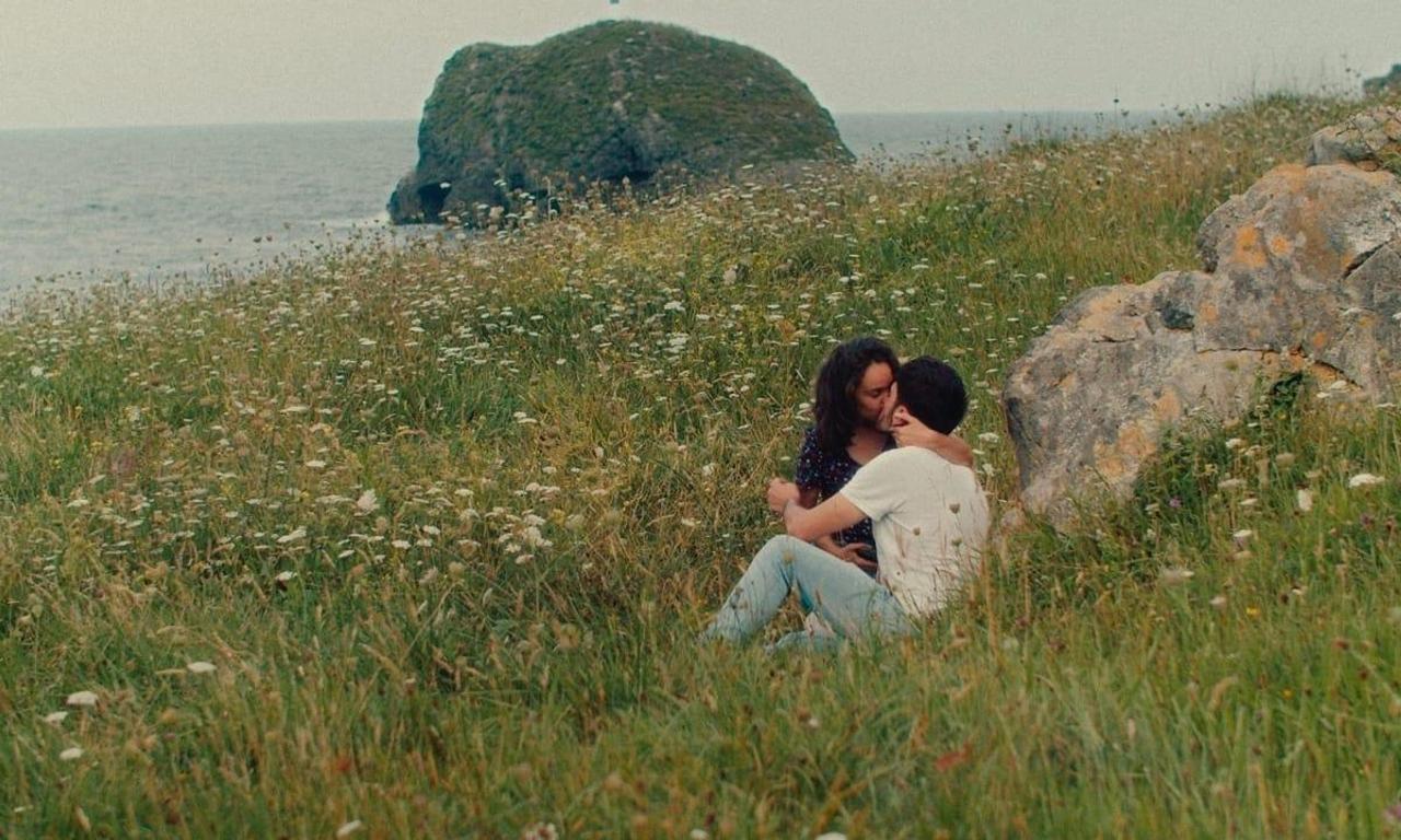 header image for Notes on a Summer