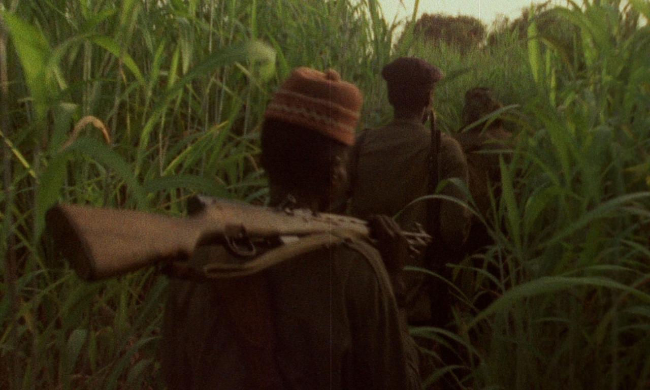 header image for Concerning Violence