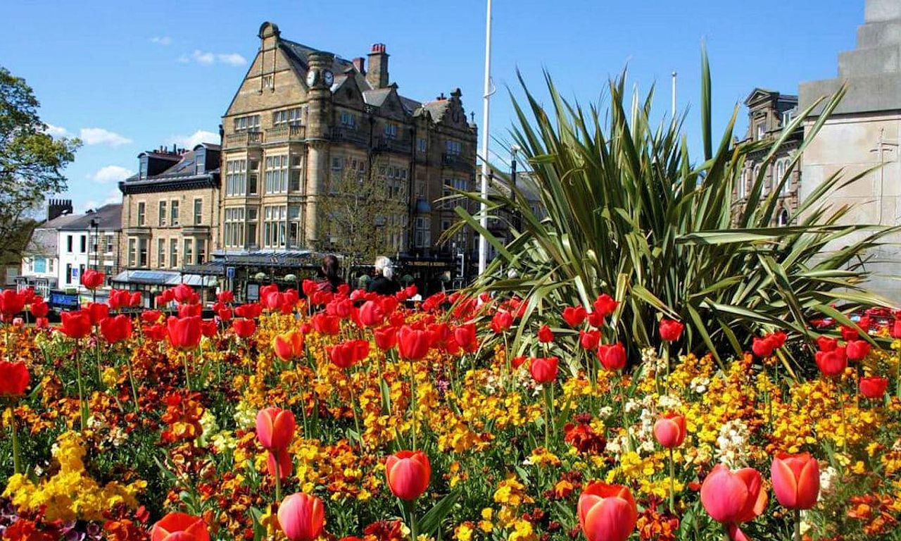 header image for Britain in Bloom