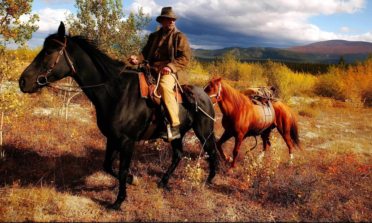 The Last Trapper Where to Watch and Stream Online Entertainment.ie