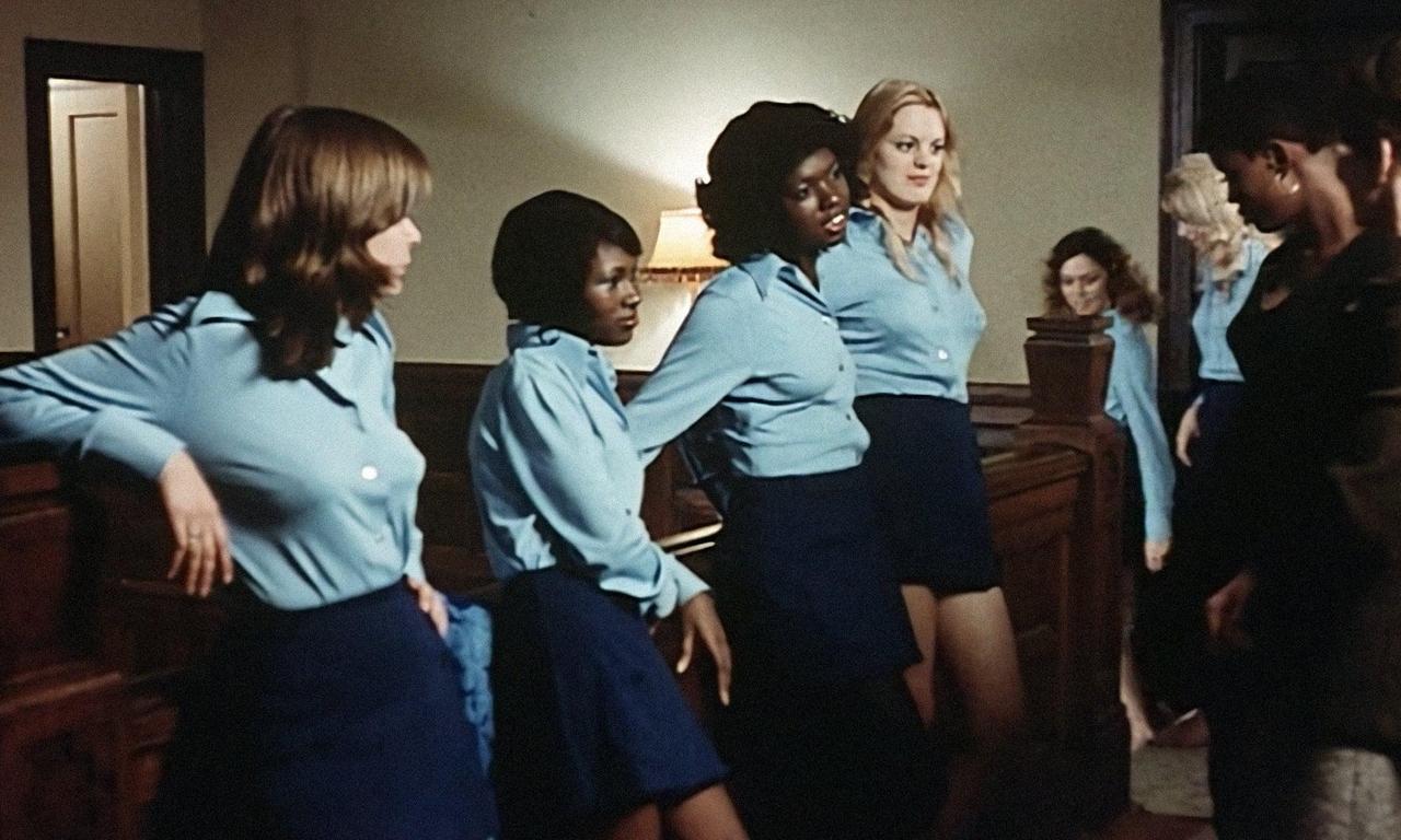 header image for The Black Alley Cats