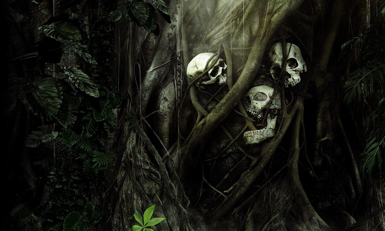 header image for Secrets in the Jungle