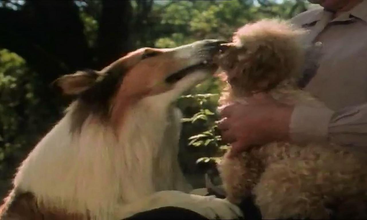 Lassie: Where to Watch and Stream Online