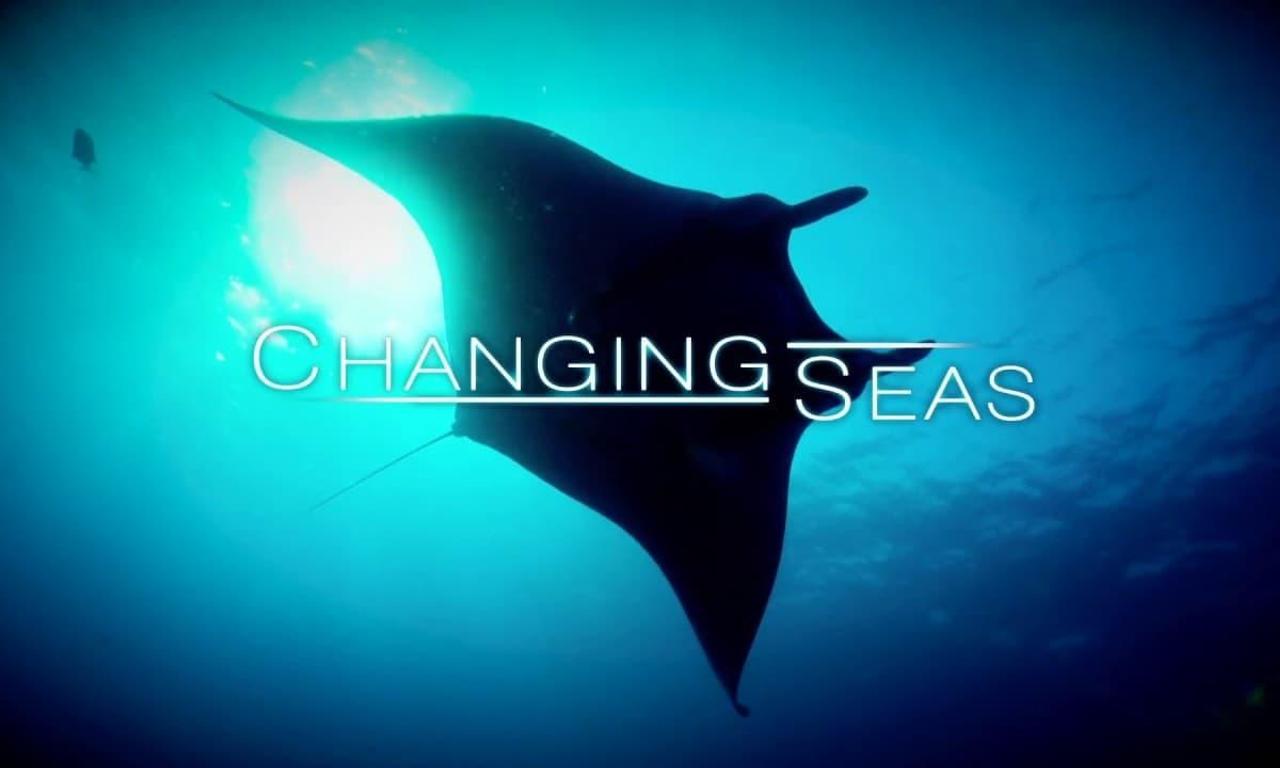 header image for Changing Seas