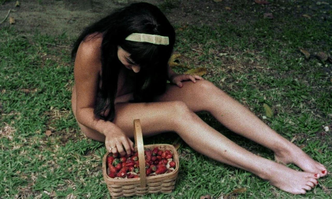 header image for The Prince and the Nature Girl