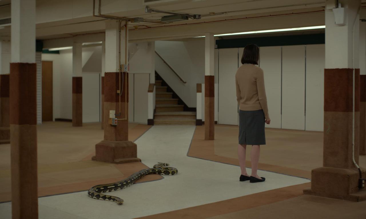 header image for Sometimes I Think About Dying