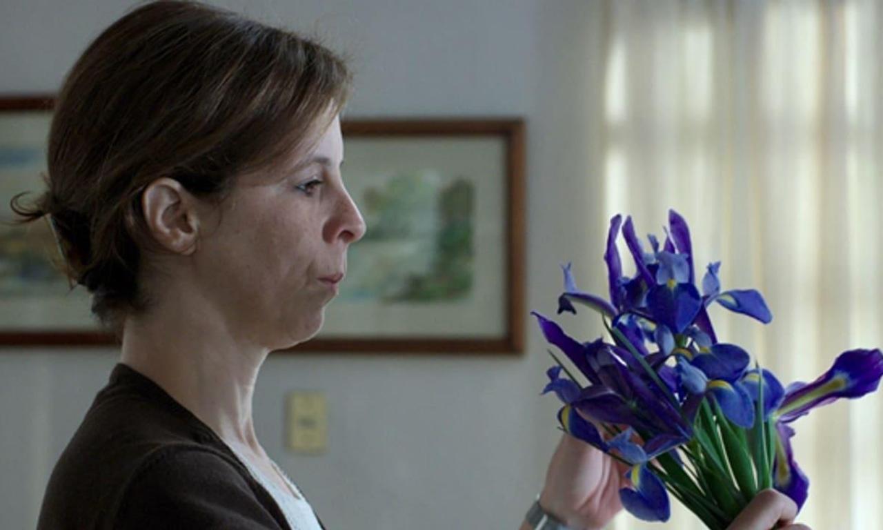 Wild Flowers Where to Watch and Stream Online Entertainment.ie