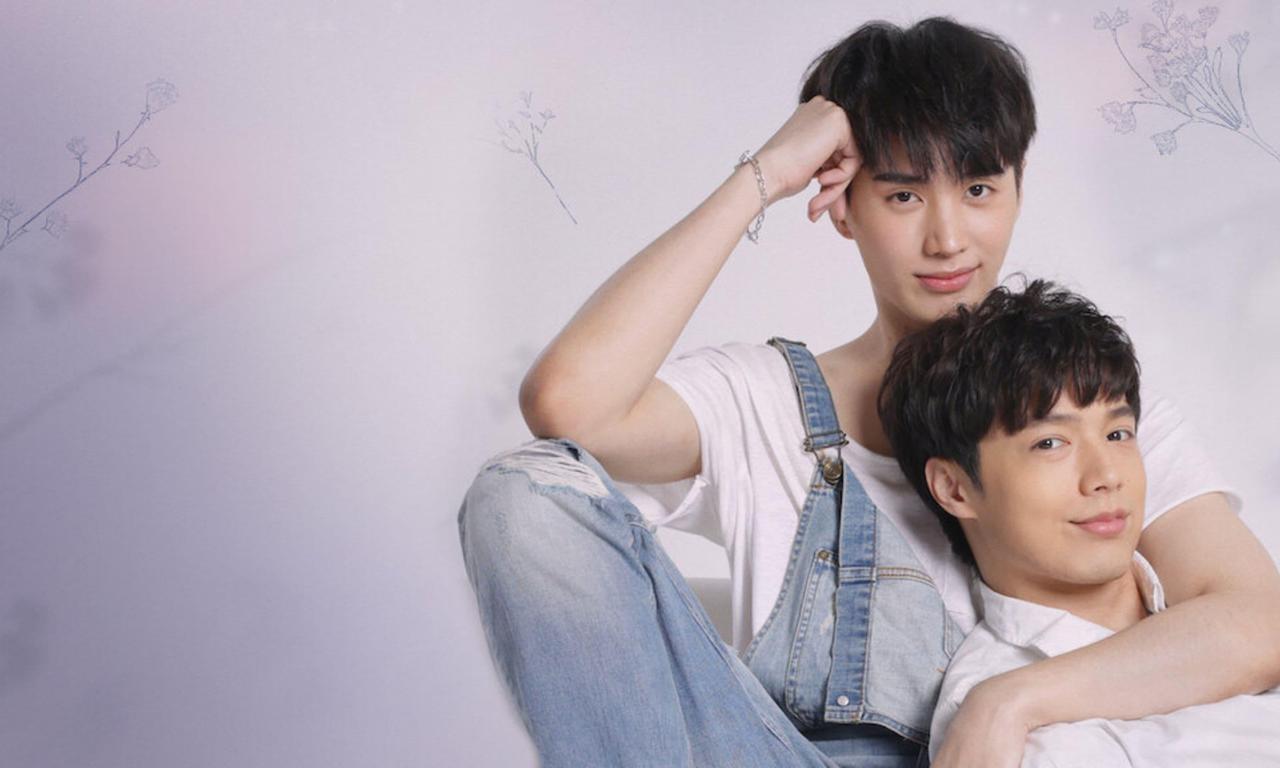 header image for The Miracle of Teddy Bear