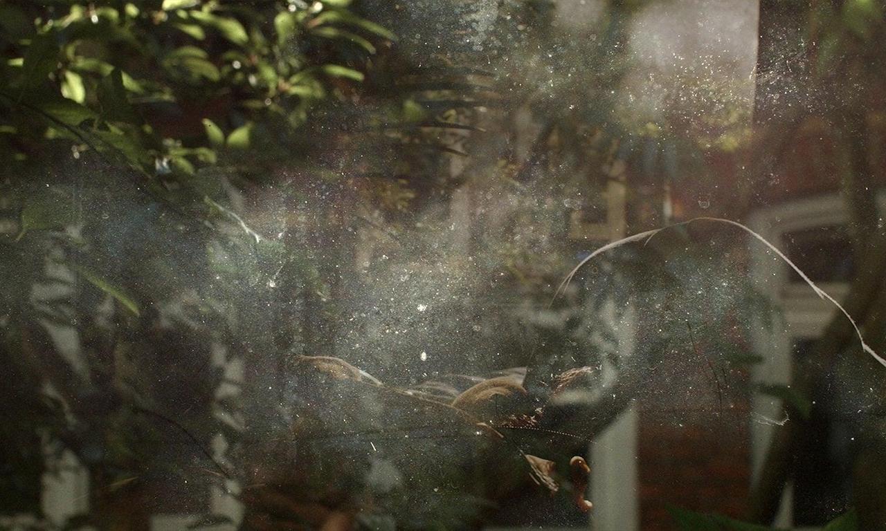 header image for Ada Kaleh