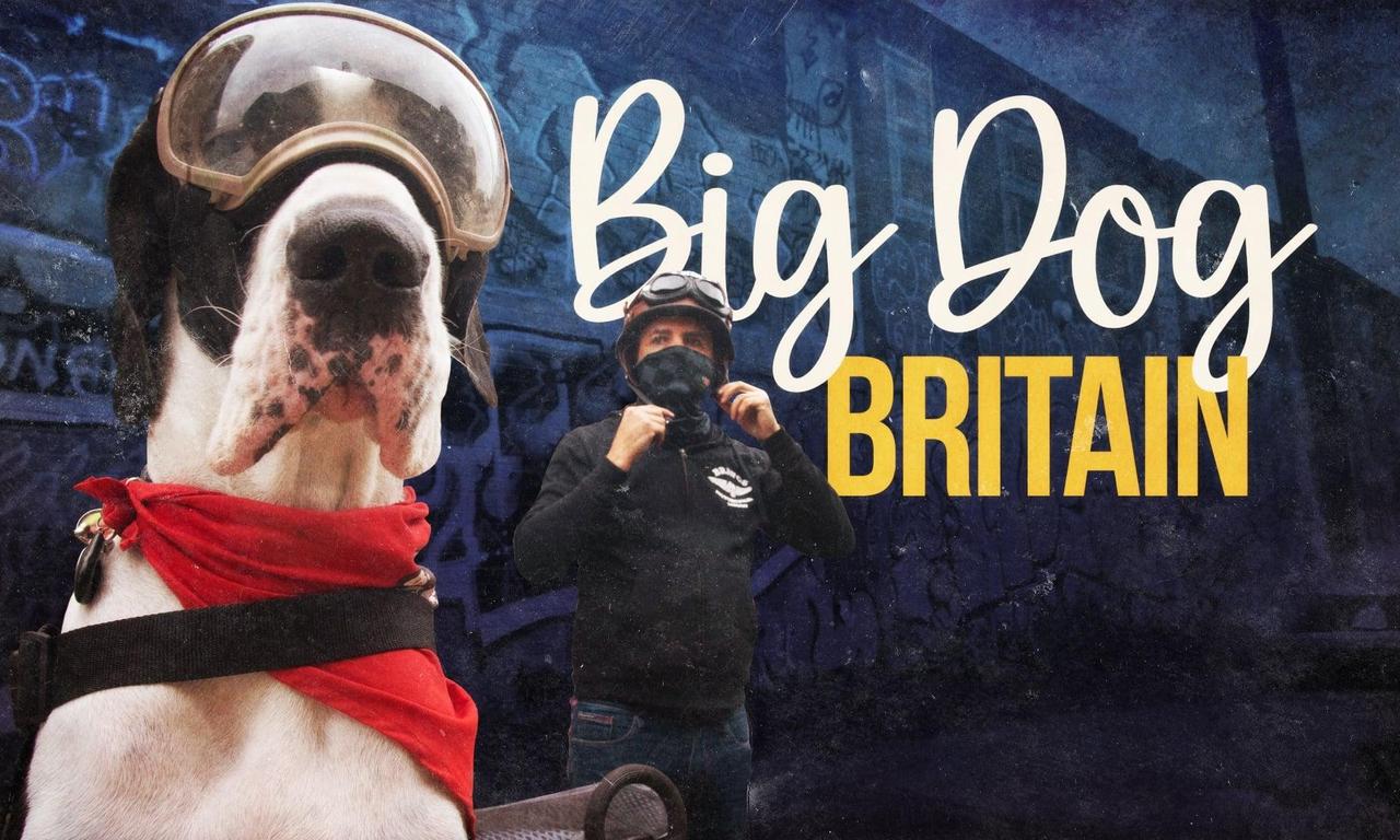 Big Dog Entertainment