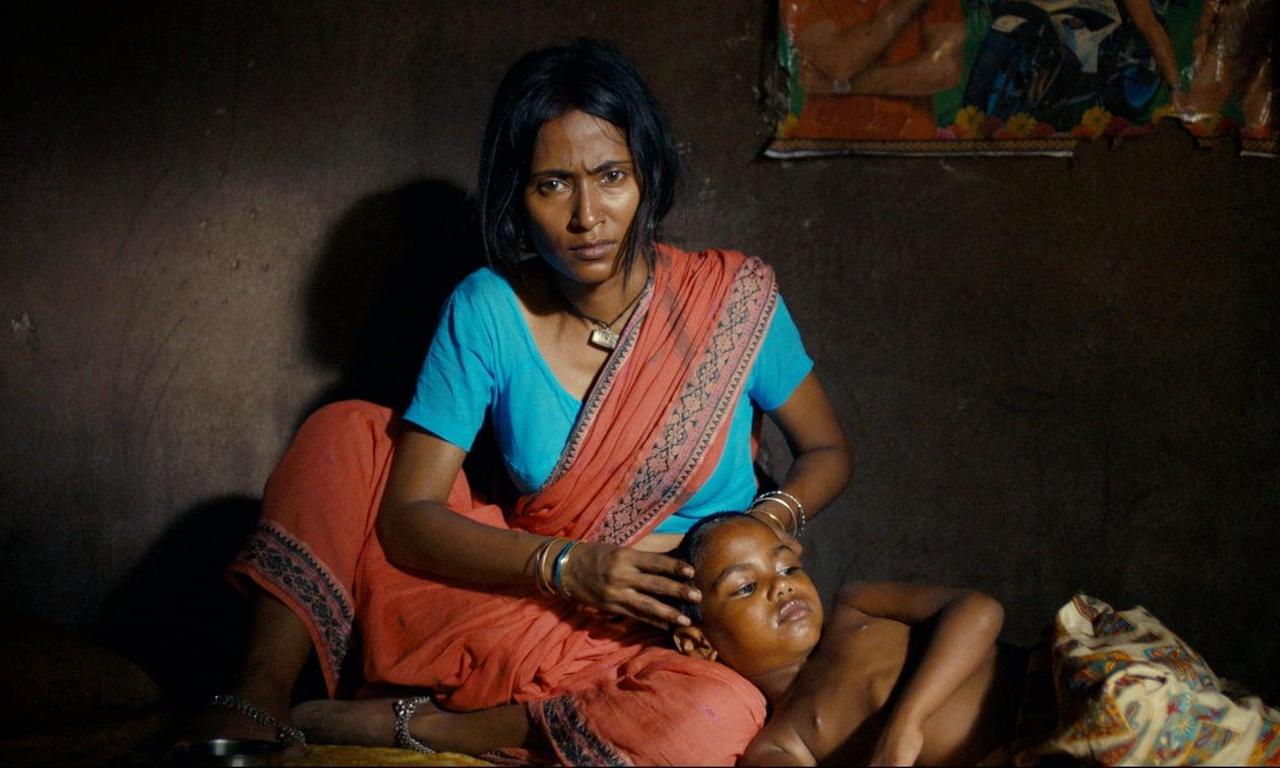 header image for The Field