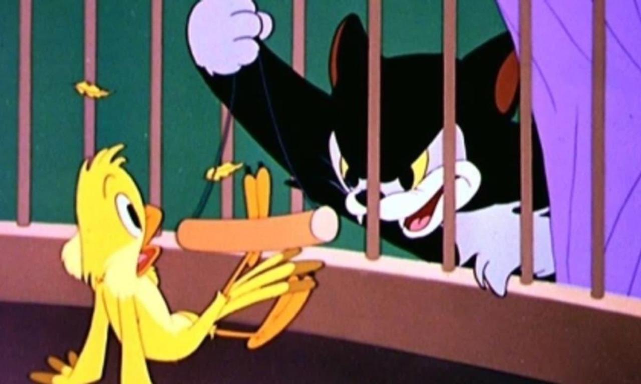 header image for Figaro and Frankie