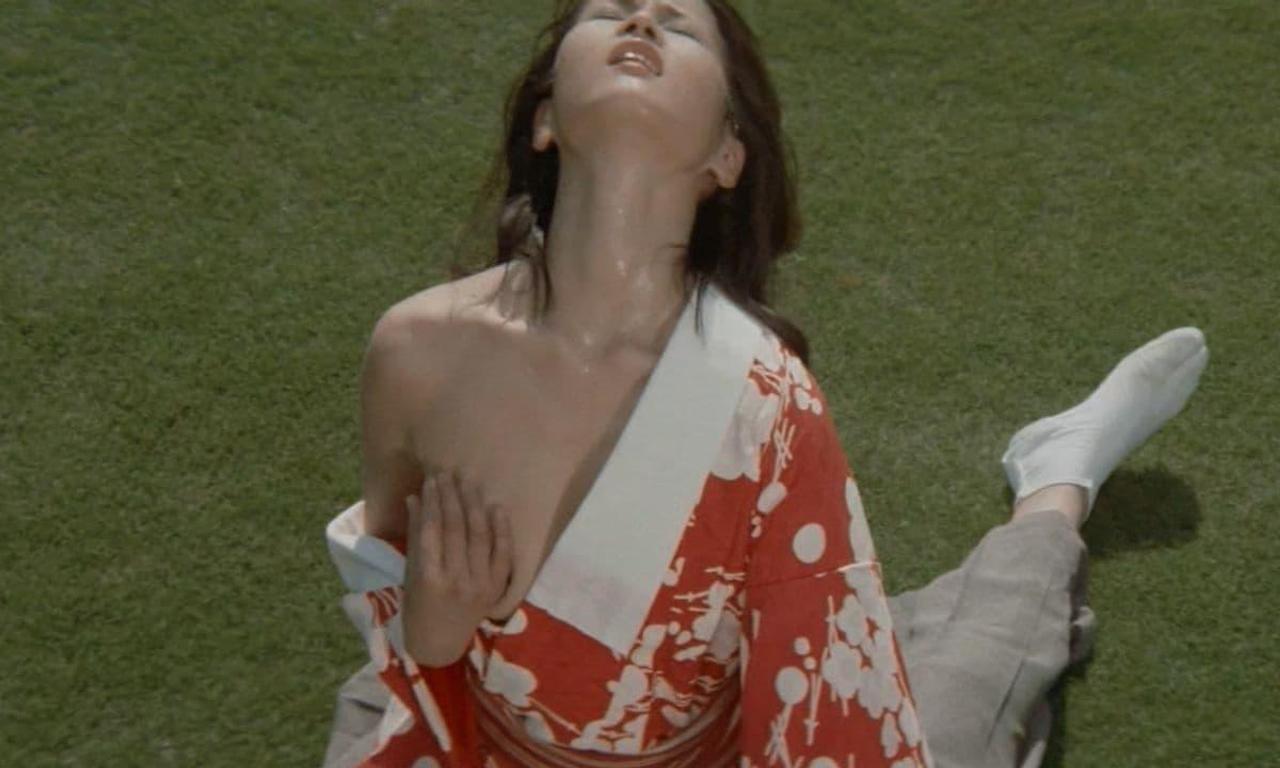 header image for Turtle Geisha