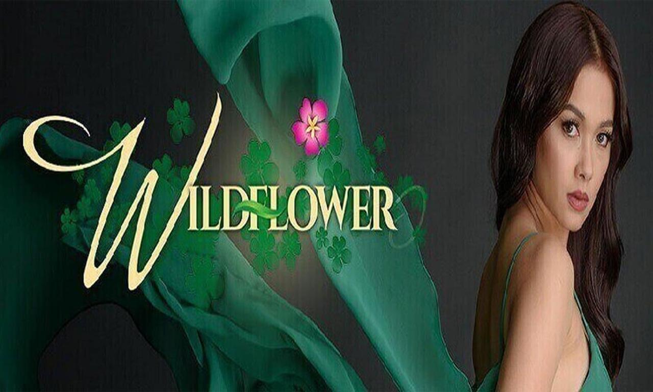 header image for Wildflower