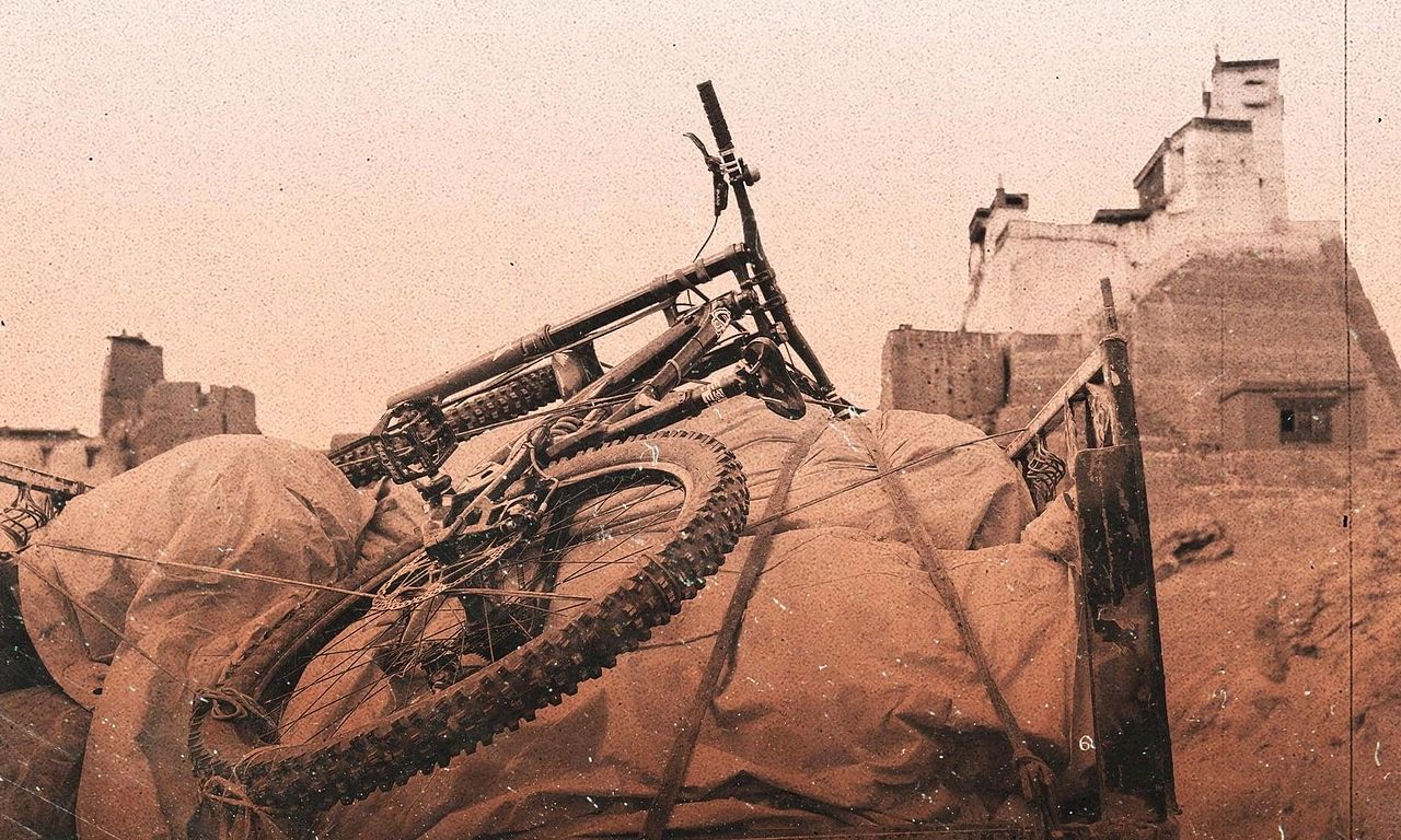 header image for Accomplice