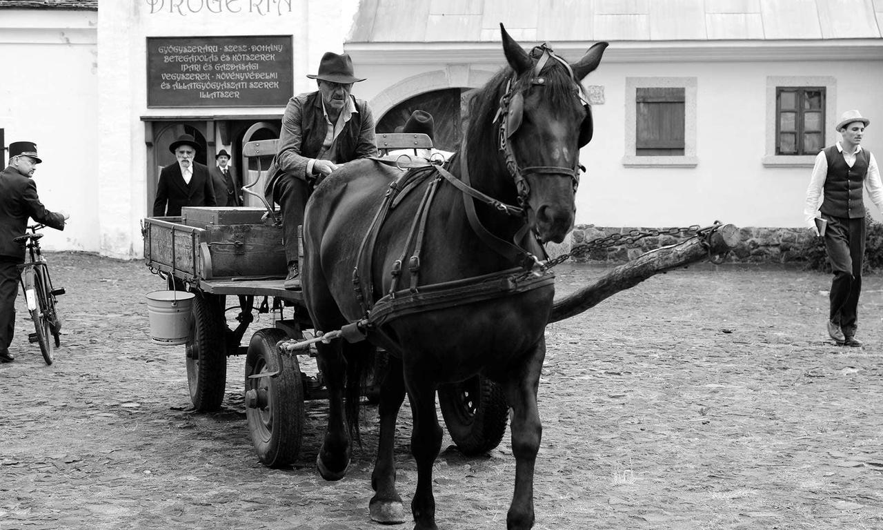1945 - Where to Watch and Stream Online – Entertainment.ie