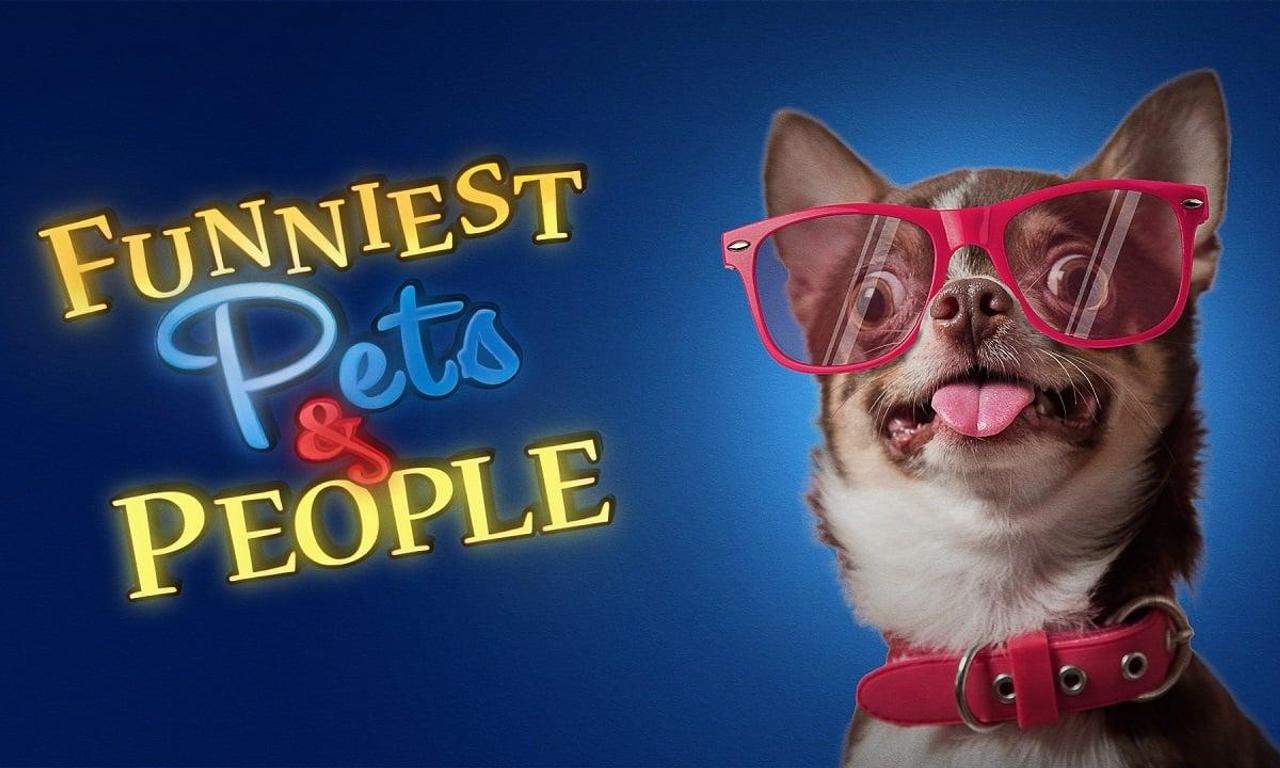 header image for Funniest Pets & People