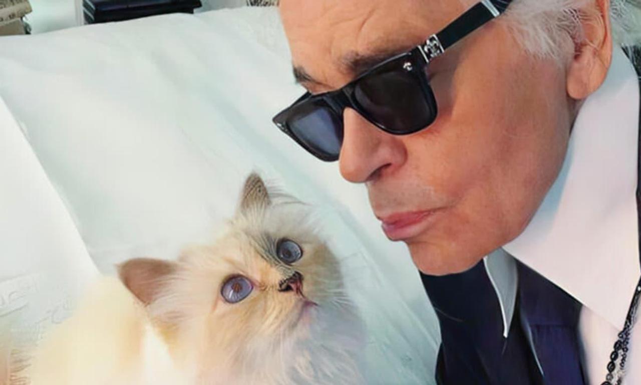 header image for The Mysterious Mr. Lagerfeld