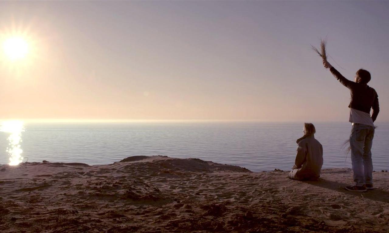 Love Steaks Where to Watch and Stream Online Entertainment.ie