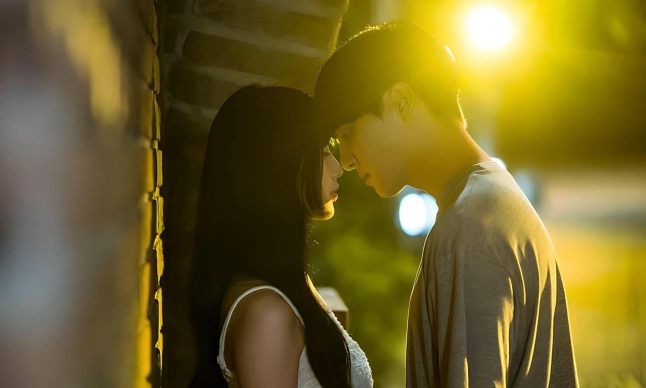 header image for Doona!