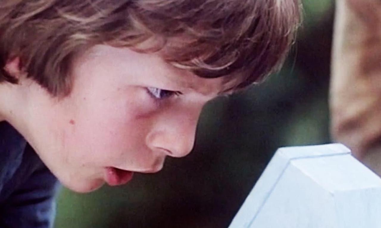 header image for The Battle of Billy's Pond