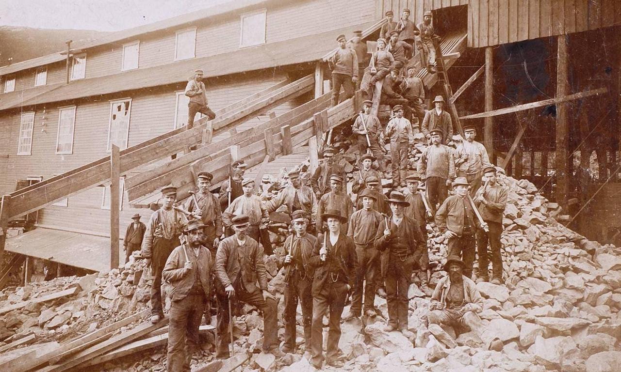 header image for The Riot