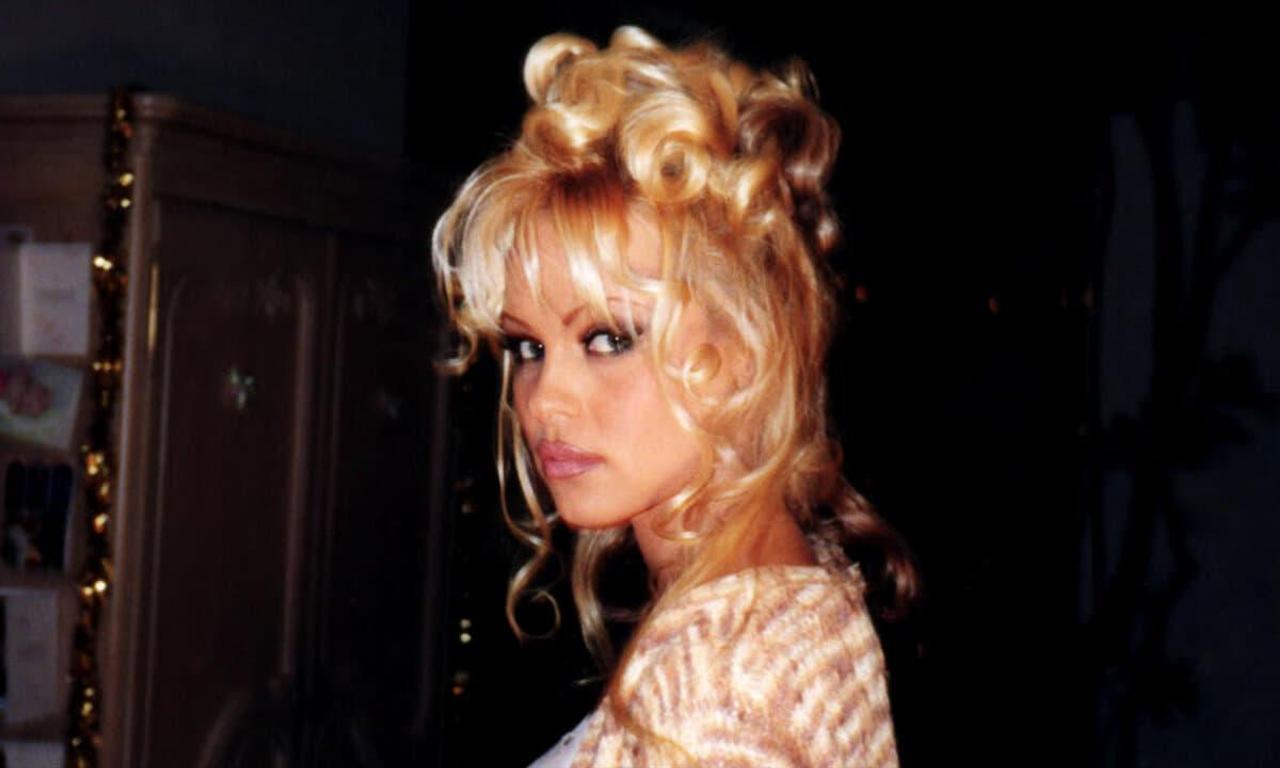 header image for Pamela, A Love Story