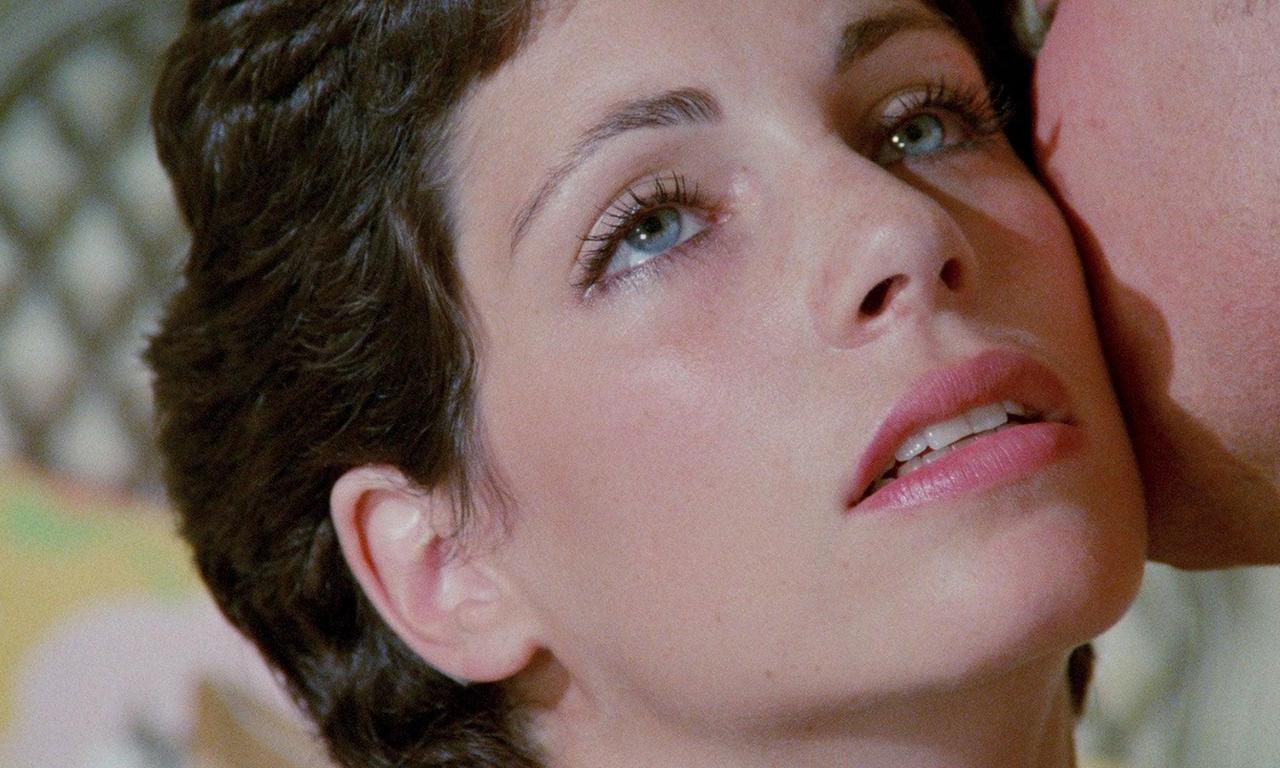 header image for Flesh and Bullets