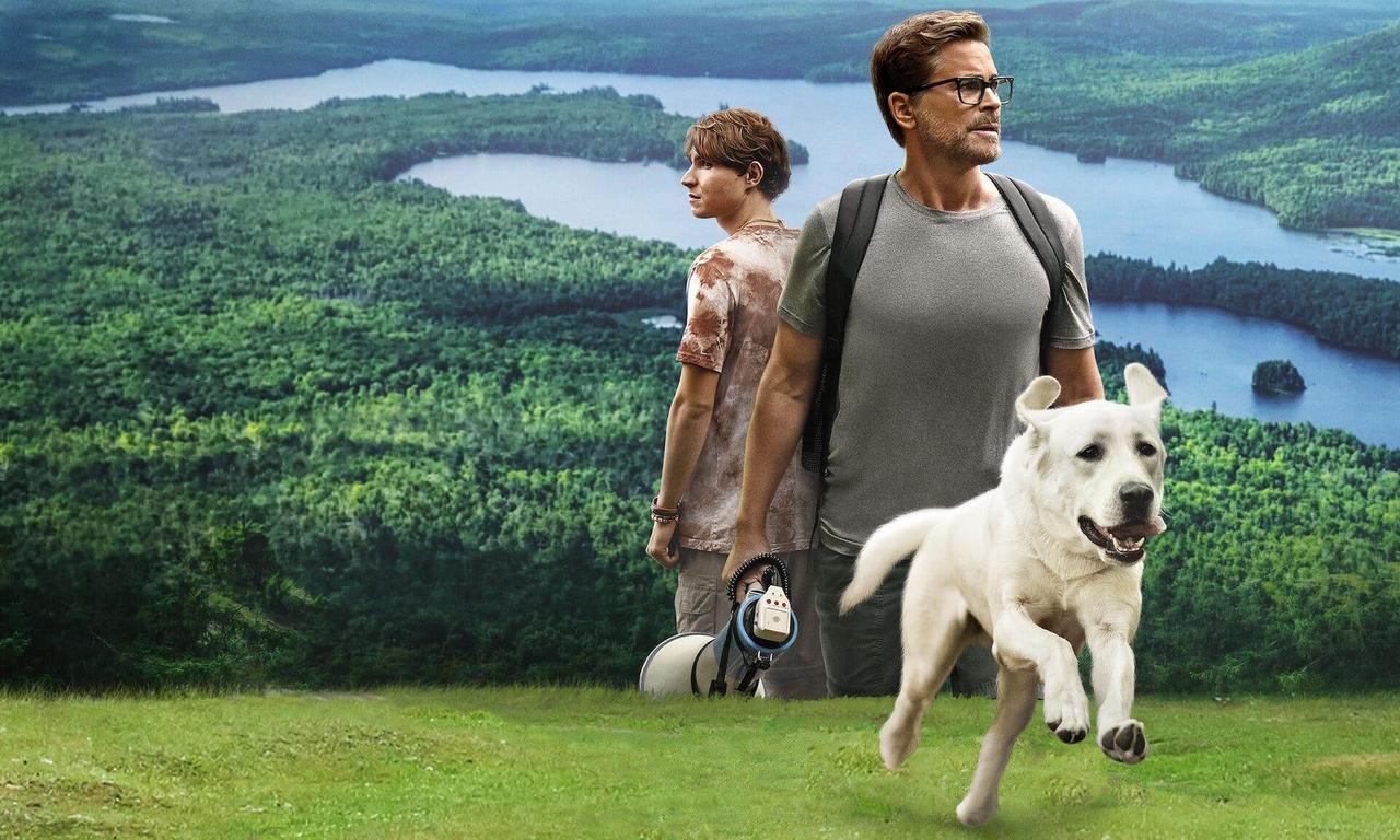 header image for Dog Gone