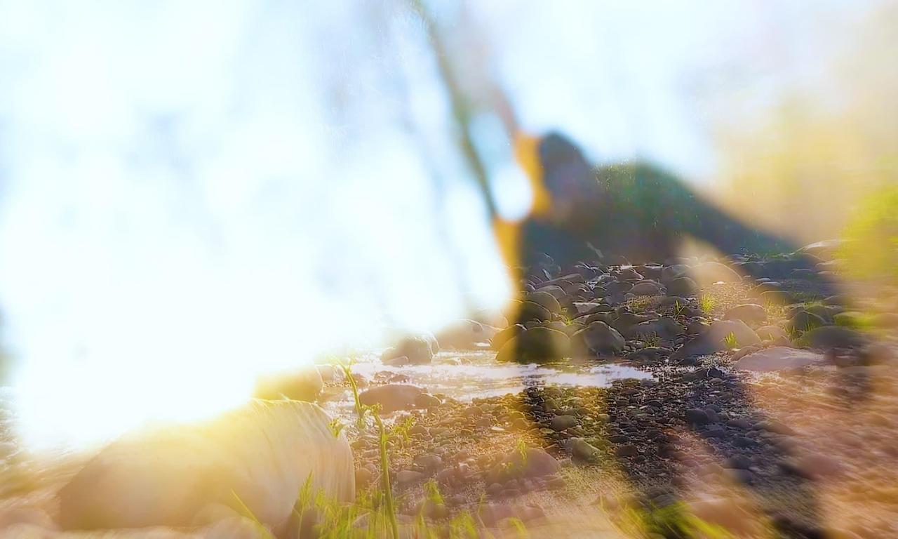 header image for On The Trail of Bigfoot: The Last Frontier