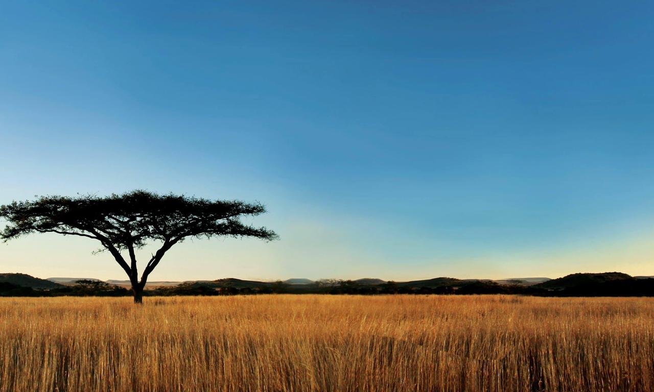 header image for Nature