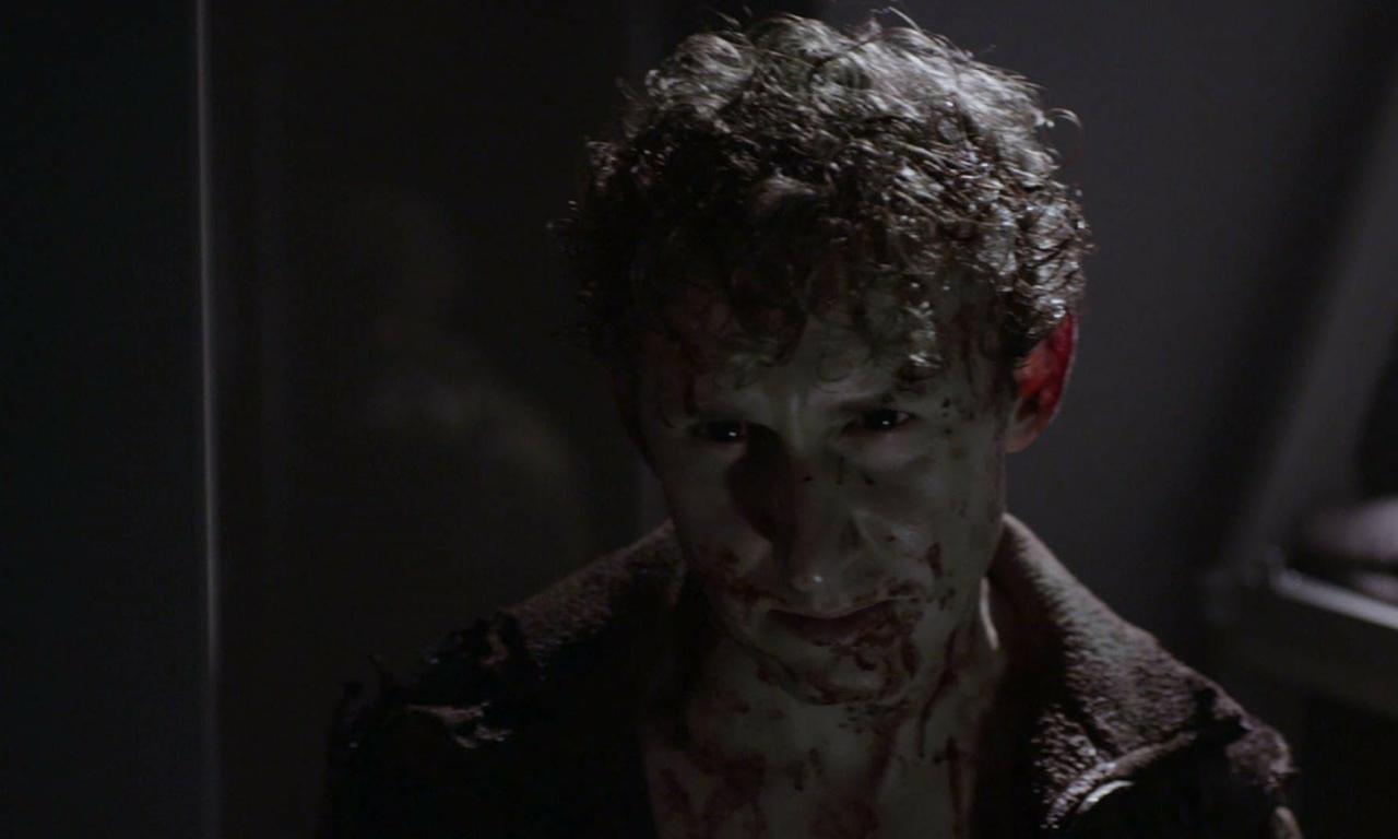 header image for Stranded